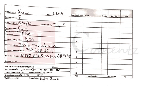 05.19.22 Corgi_AKC Sell Sheet