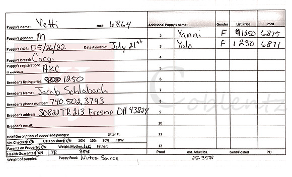 05.26.22 Corgi_AKC Sell Sheet
