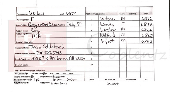 05.14.22 Corgi Sell Sheet