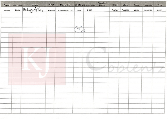 05.21.22 Bichon Sell Sheet