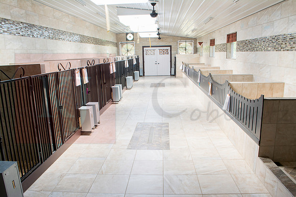 160916_QuailCreek Kennel_132