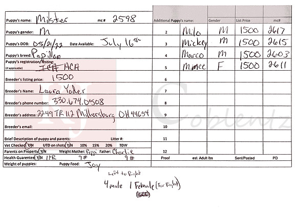 05.21.22 Papillons Sell Sheet