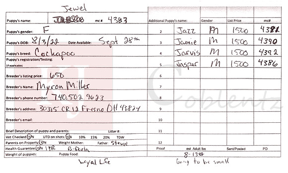 08.03.22 Cockapoos Sell Sheet