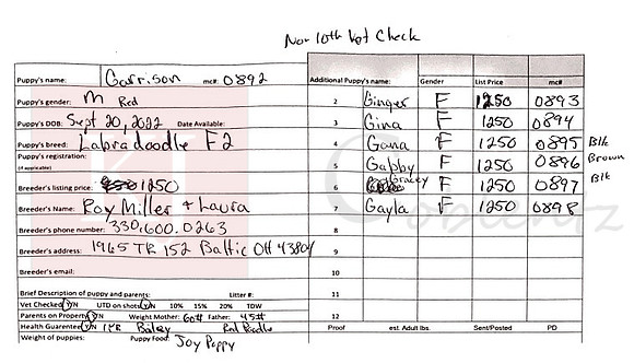 09.20.22 Labradoodles Sell Sheet