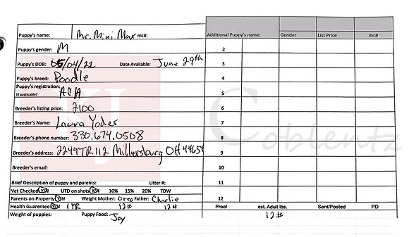 05.04.22 Mini Poodle Sell Sheet