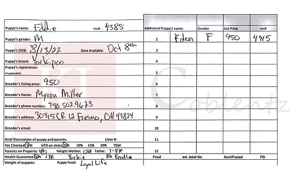 08.13.22 Yorkipoo Sell Sheet