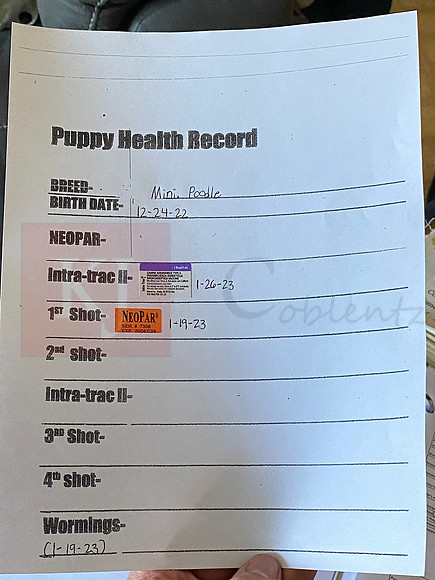 Shot Schedule