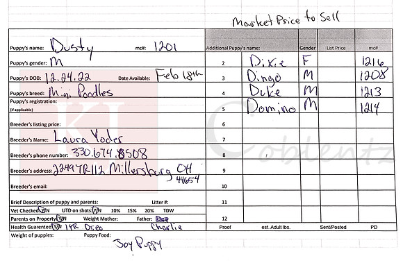 12.24.22 Mini Poodles Sell Sheet