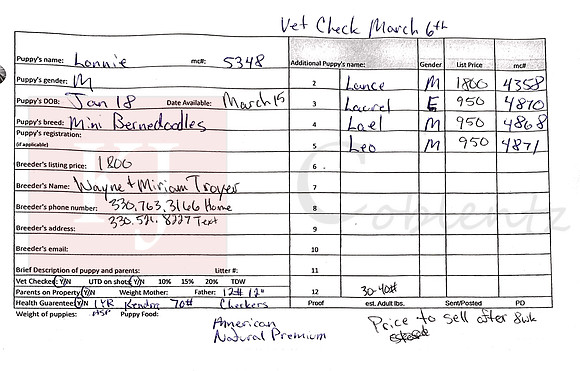 01.18.23 Mini Bernedoodles Sell Sheet