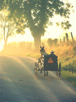 Morning Sun