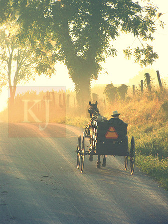 Morning Sun