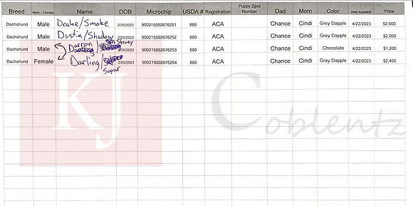 02.25.23 Mini Dachshunds Sell Sheet