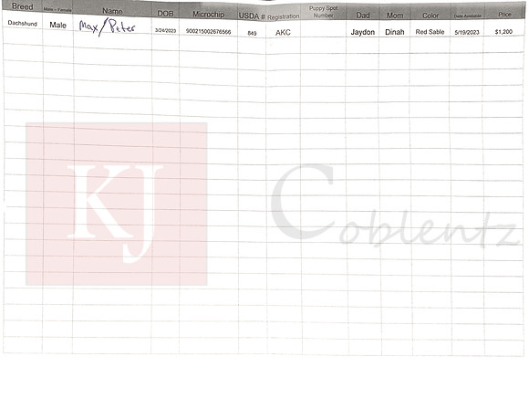 03.24.23 Mini Dachshund Sell Sheet