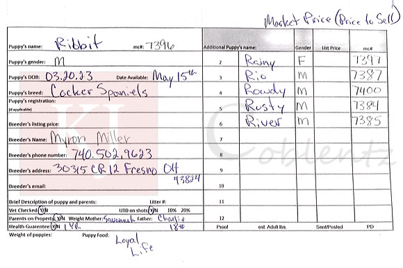 03.20.23 Cocker Spaniels Sell Sheet