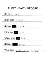 Shot Record for Shelties
