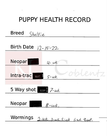 Shot Record for Shelties