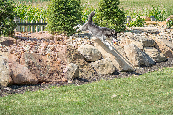160916_QuailCreek Kennel_146
