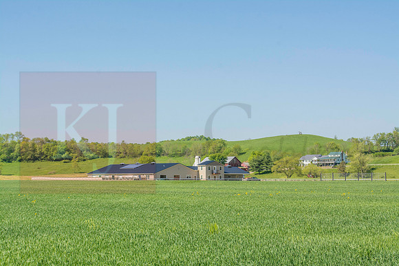 160519_QuailCreek Kennel_3