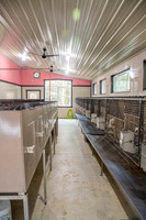 170131_New Bedford Feed_14