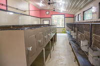 170131_New Bedford Feed_15