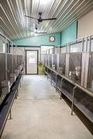 170131_New Bedford Feed_18
