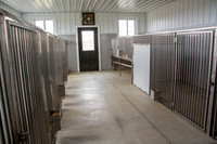 170131_New Bedford Feed_28