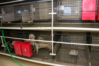 170131_New Bedford Feed_44