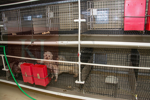 170131_New Bedford Feed_44