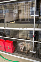 170131_New Bedford Feed_45