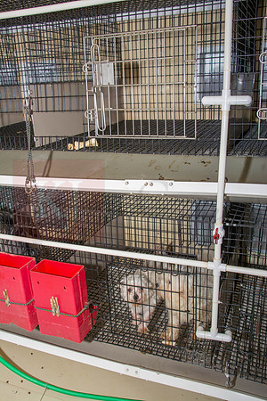 170131_New Bedford Feed_45