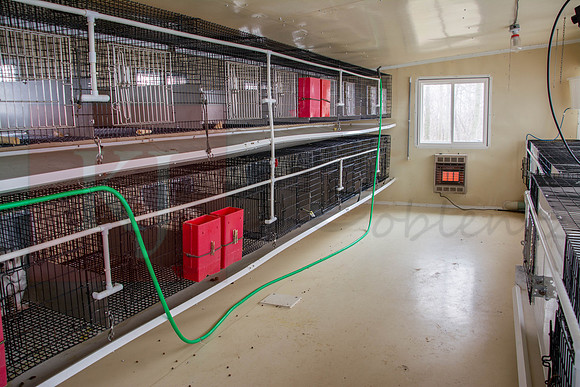 170131_New Bedford Feed_47