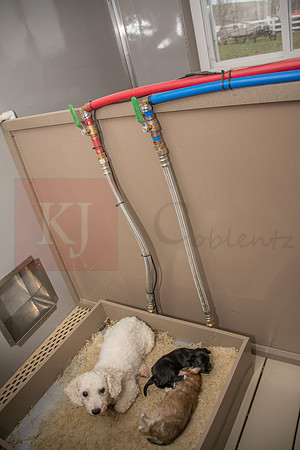 170131_New Bedford Feed_67