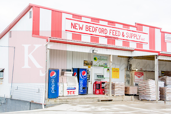 170215_New Bedford Feed_1