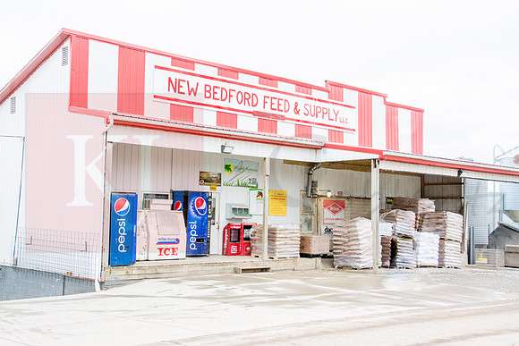 170215_New Bedford Feed_2