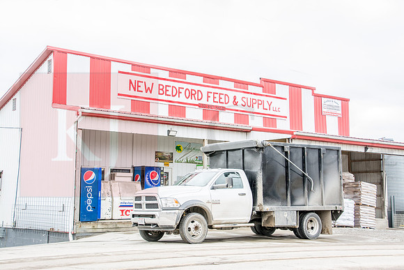 170215_New Bedford Feed_3