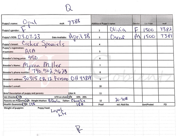 03.07.23 Cocker Spaniels Sell Sheet