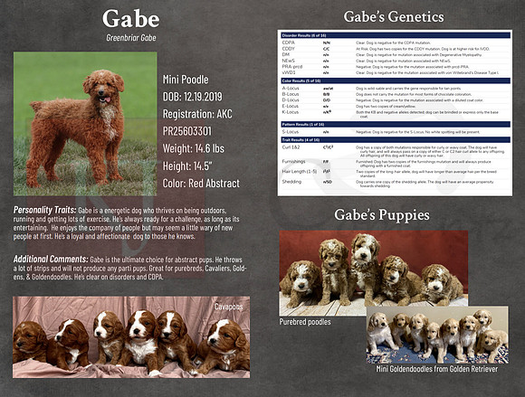 Gabe Detailed
