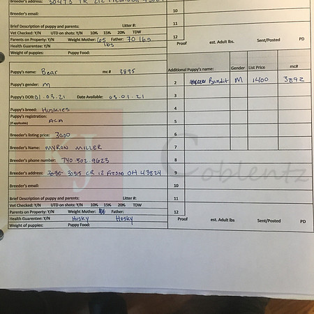 01.03.21 Siberian Huuskies Sell Sheet