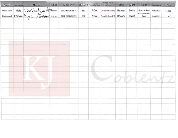 05.05.23 Mini Dachshunds Sell Sheet
