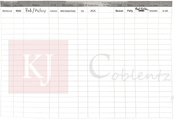 04.29.23 Mini Dachshund Sell Sheet