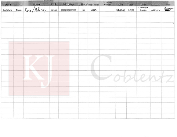 05.02.23 Mini Dachshund Sell Sheet