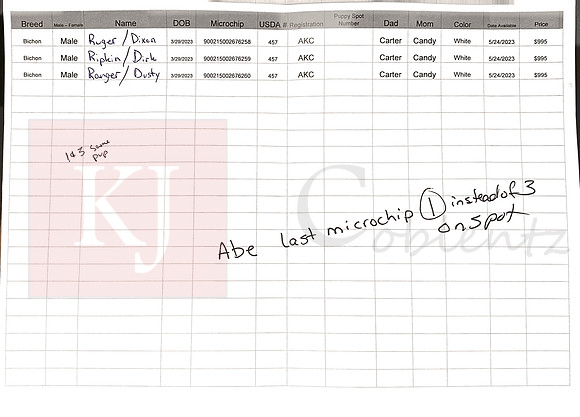 03.29.23 Bichons Sell Sheet