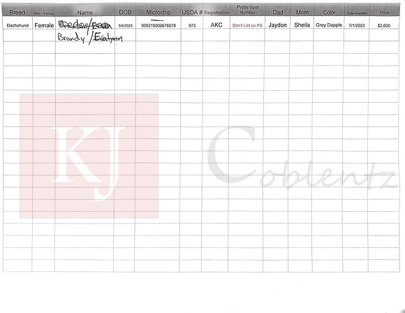 05.06.23 Mini Dachshunds Sell Sheet