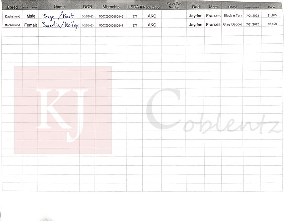 05.26.23 Mini Dachshund Sell Sheet