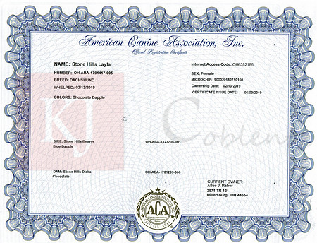 Layla_Registration