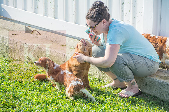 170614_Homes for Canines_109