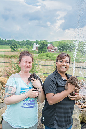 170614_Homes for Canines_640