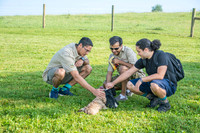 170614_Homes for Canines_49