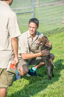 170614_Homes for Canines_128