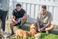 170614_Homes for Canines_147
